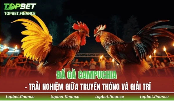 Đá Gà Campuchia
